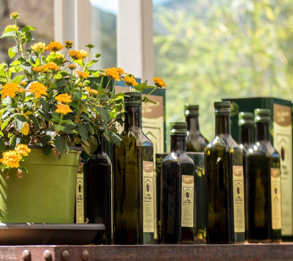 Agriturismo Terre Degli Angeli Pietra Ligure Eksteriør bilde